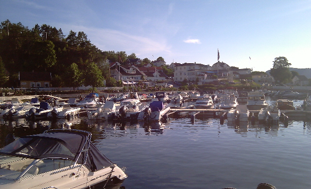 IMAG7384